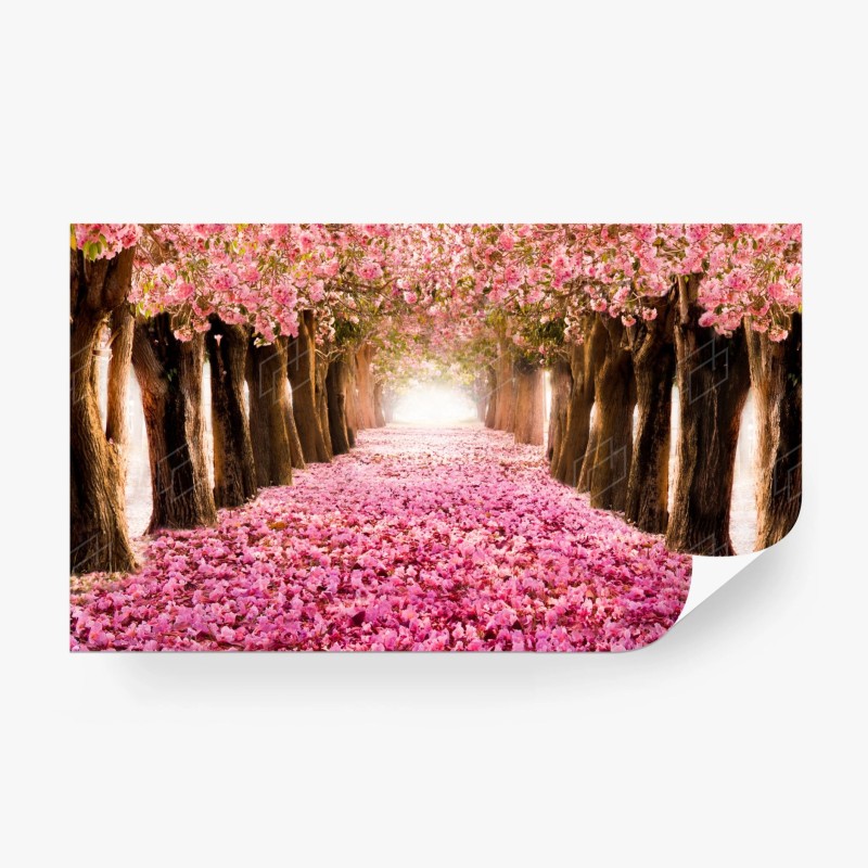 Carta da parati viale incantato di fiori di ciliegio