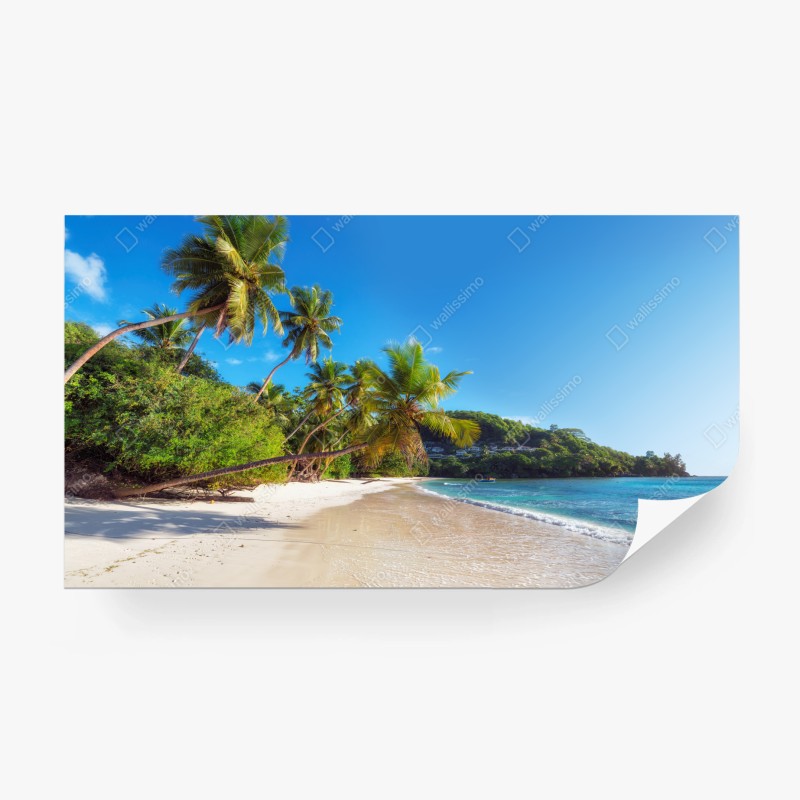 Carta da parati spiaggia tropicale con palme e acque turchesi