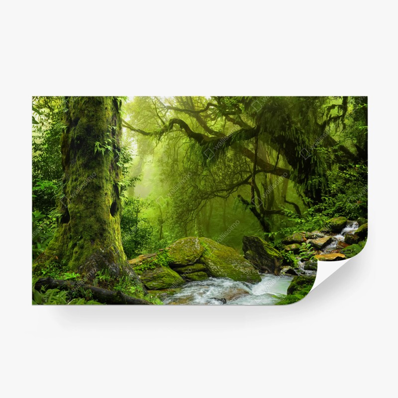 Carta da parati foresta incantata verdeggiante