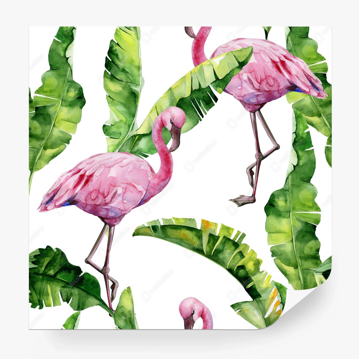 Carta da parati motivo tropicale di fenicotteri rosa • Wallissimo® Carta da parati motivo tropicale di fenicotteri rosa • Wallissimo®