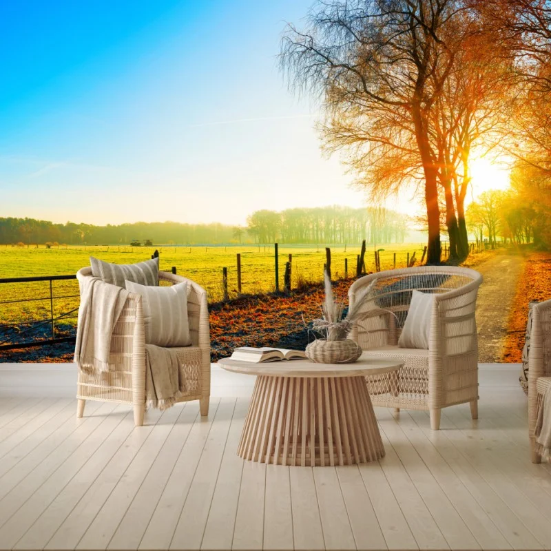 Carta da parati strada di campagna al sorgere del sole