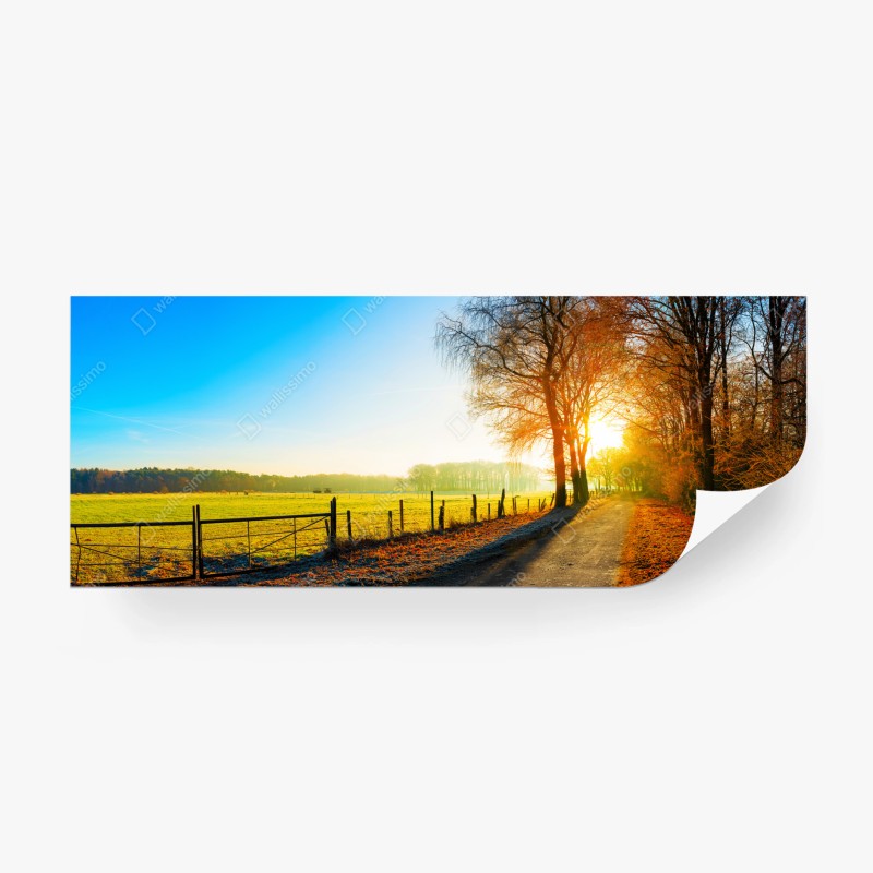 Carta da parati strada di campagna al sorgere del sole