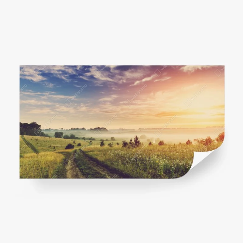 Carta da parati mattina nebbiosa nella campagna dorata