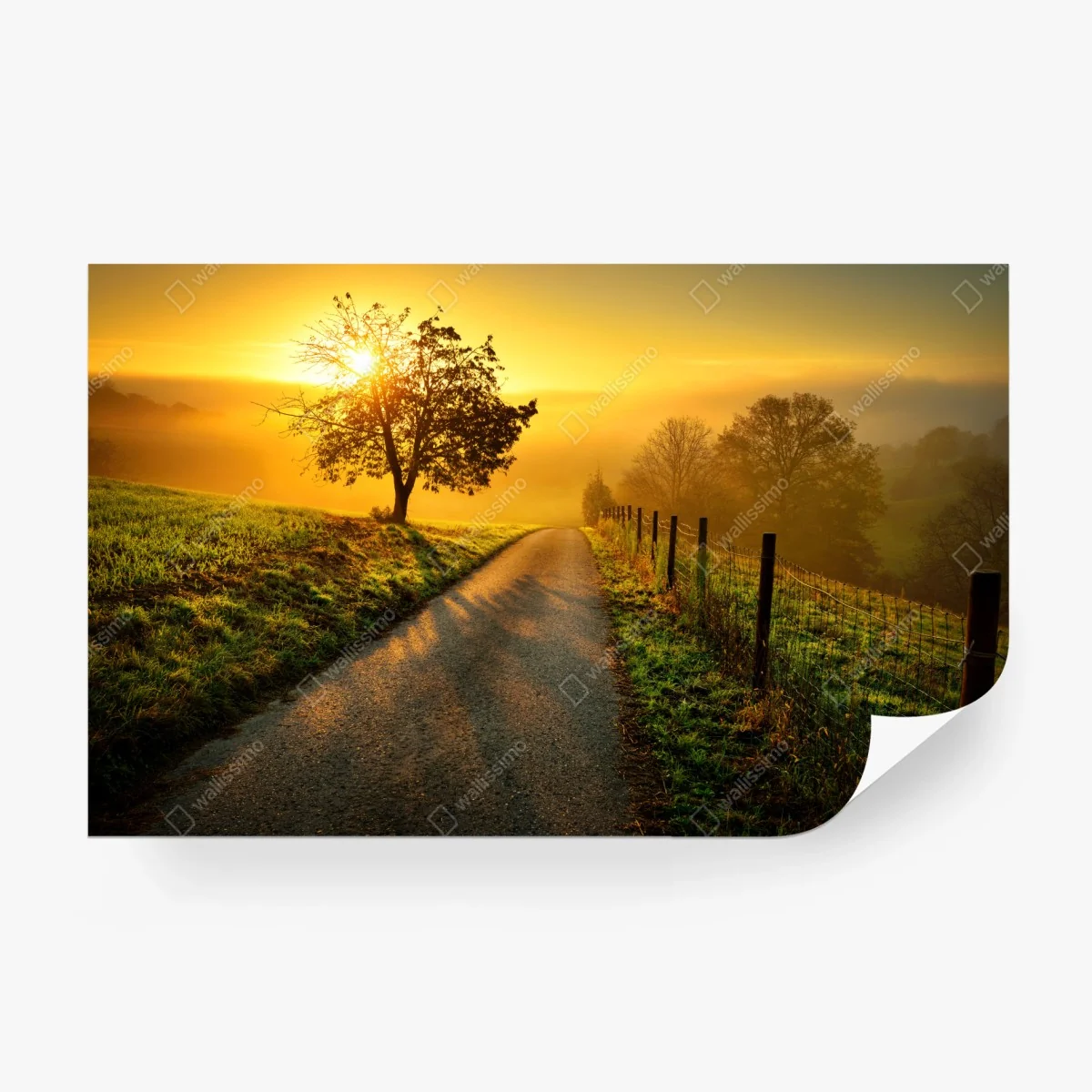Carta da parati alba dorata sulla collina • Wallissimo® Carta da parati alba dorata sulla collina • Wallissimo®