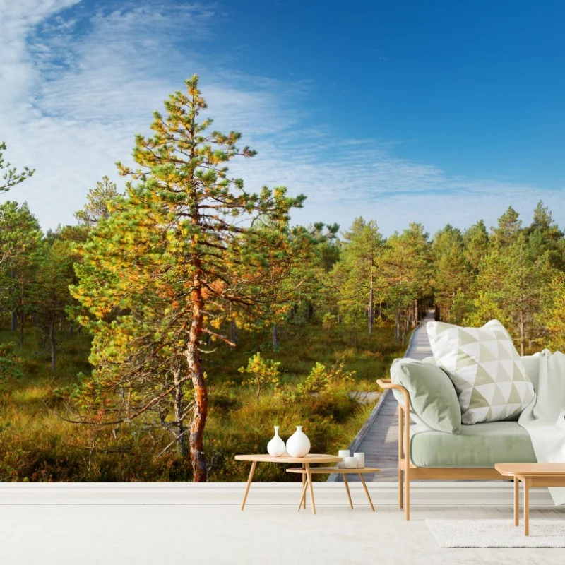 Carta da parati passerella nella palude tra pini