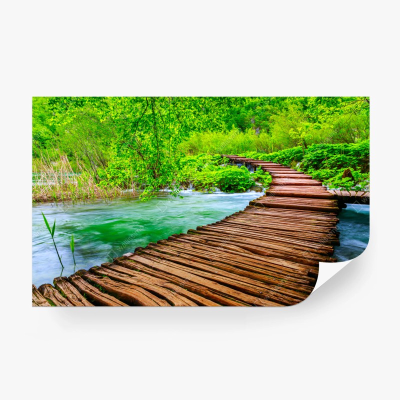 Carta da parati passerella di legno in mezzo al verde