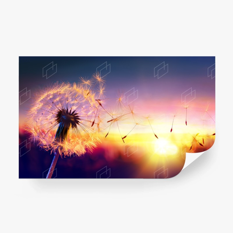 Carta da parati soffione dorato al tramonto