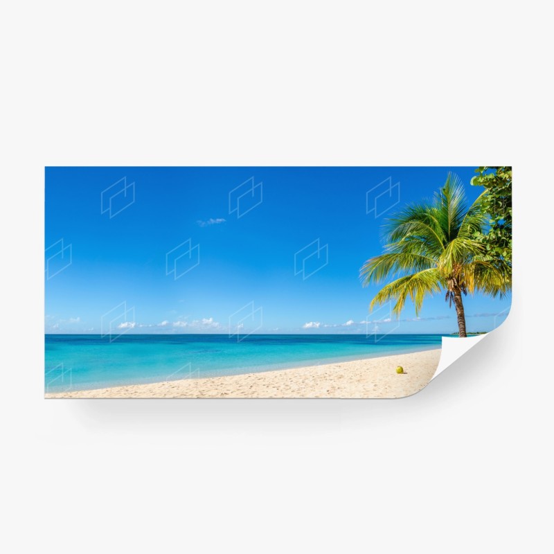 Carta da parati paradiso tropicale con palma e mare turchese
