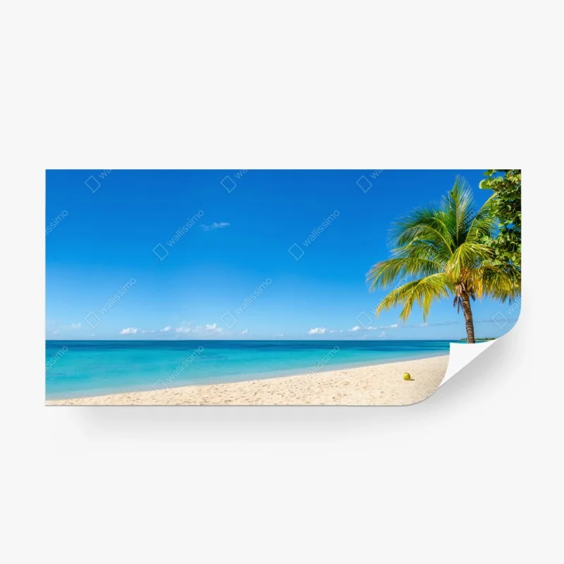 Carta da parati • Wallissimo®