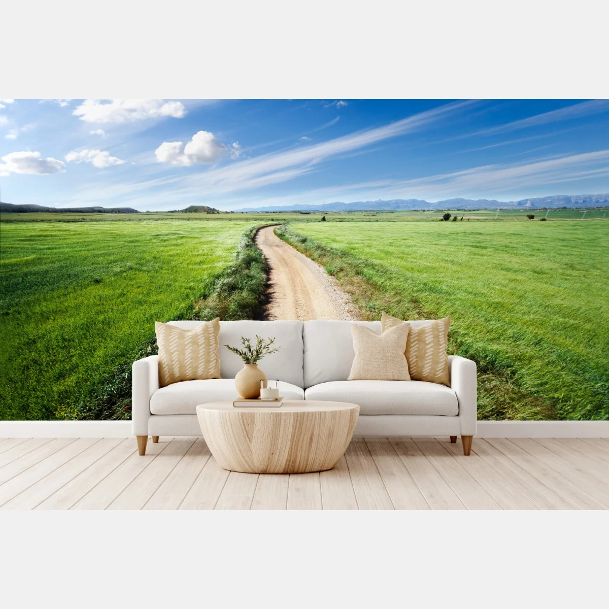 Carta da parati sentiero tra i campi verdi • Wallissimo® Carta da parati sentiero tra i campi verdi • Wallissimo®
