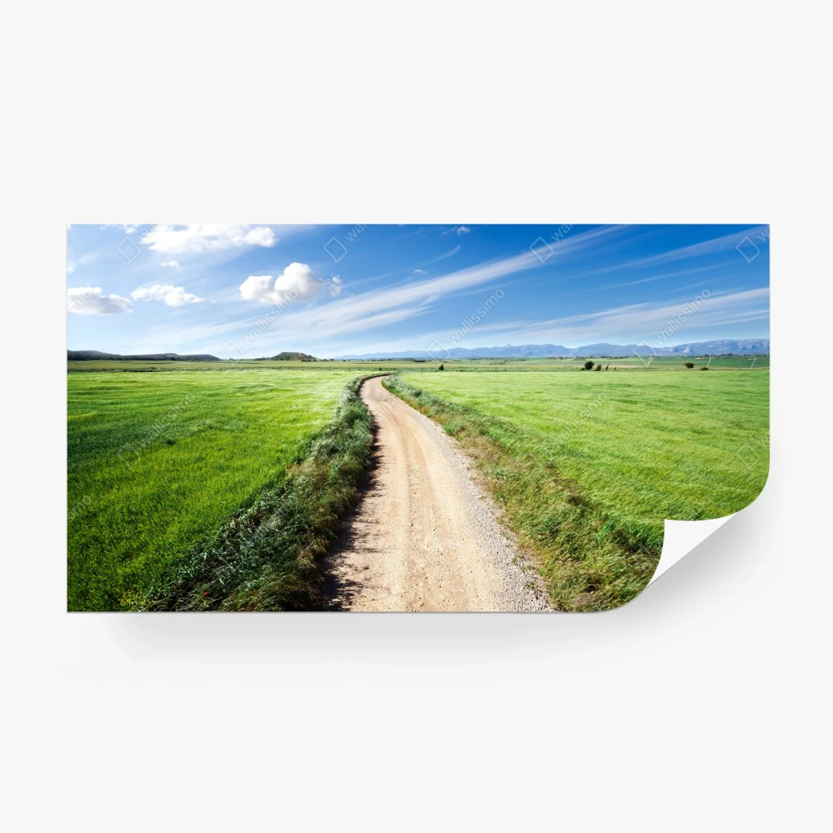 Carta da parati sentiero tra i campi verdi • Wallissimo® Carta da parati sentiero tra i campi verdi • Wallissimo®