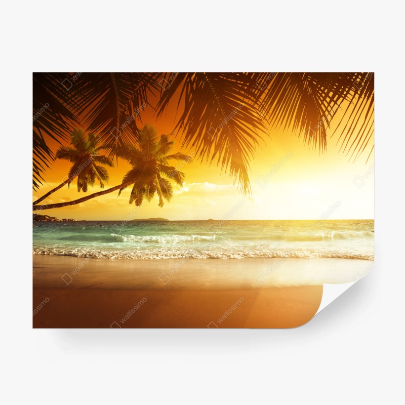Carta da parati tramonto sui Caraibi con palme