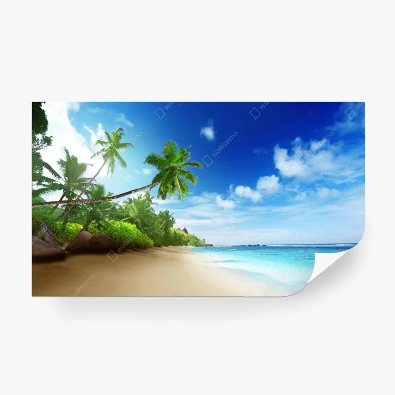 Carta da parati • Wallissimo®