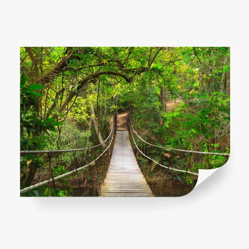 Carta da parati ponte sospeso nella foresta lussureggiante