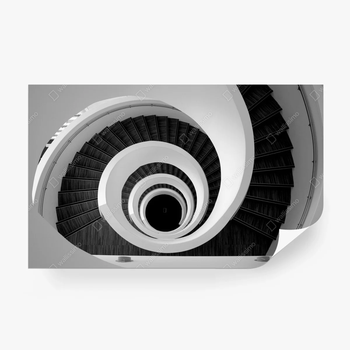 Carta da parati spirale architettonica in bianco e nero • Wallissimo®