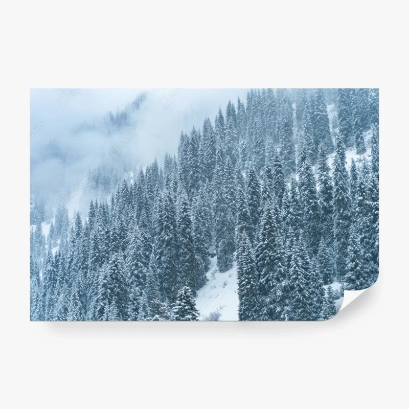 Carta da parati foresta di abeti sotto la neve