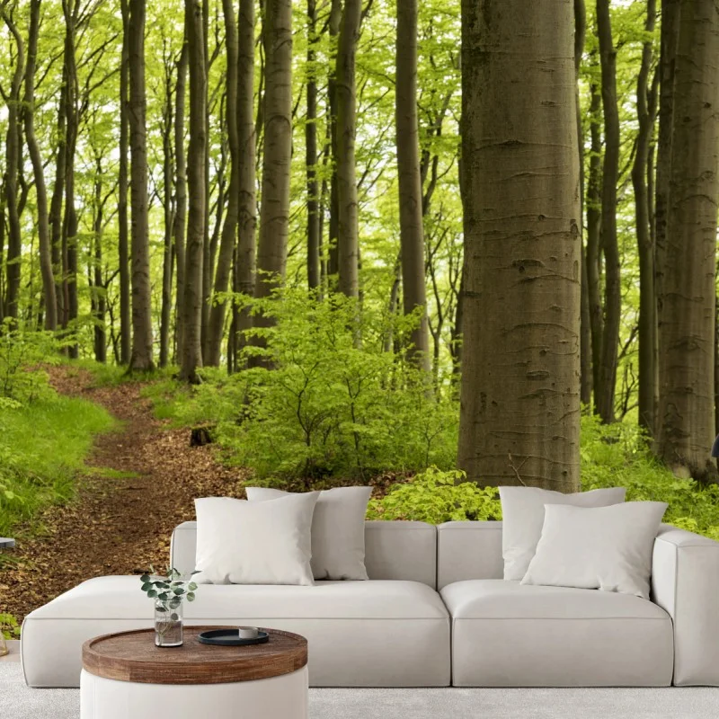 Carta da parati sentiero nel bosco verde