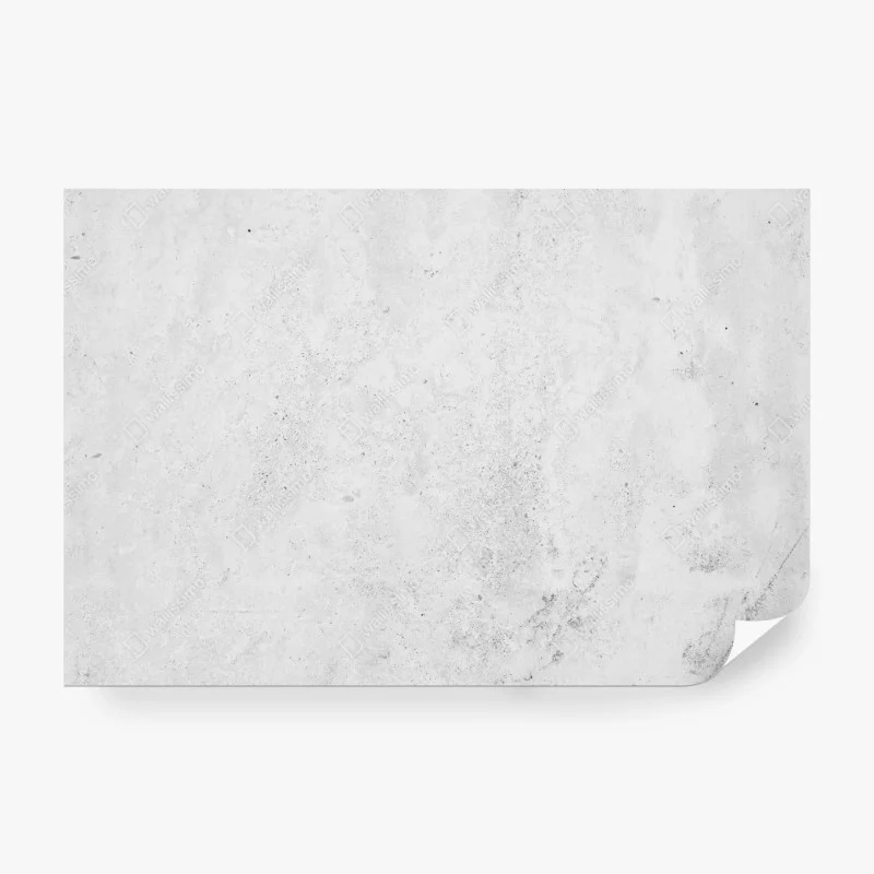 Carta da parati effetto cemento grigio minimalista