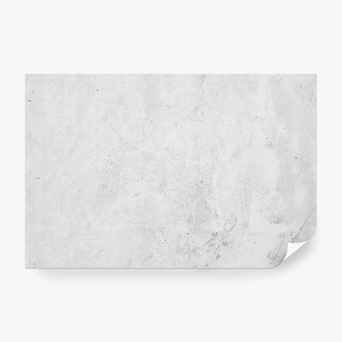 Carta da parati effetto cemento grigio minimalista • Wallissimo®