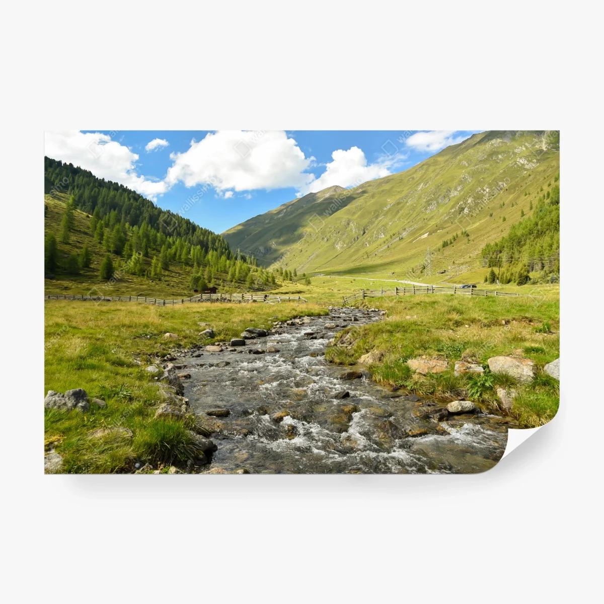 Carta da parati panorama alpino con torrente e prati • Wallissimo®