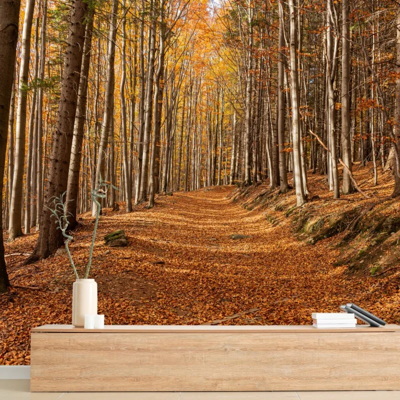 Carta da parati sentiero d'autunno nel bosco dorato