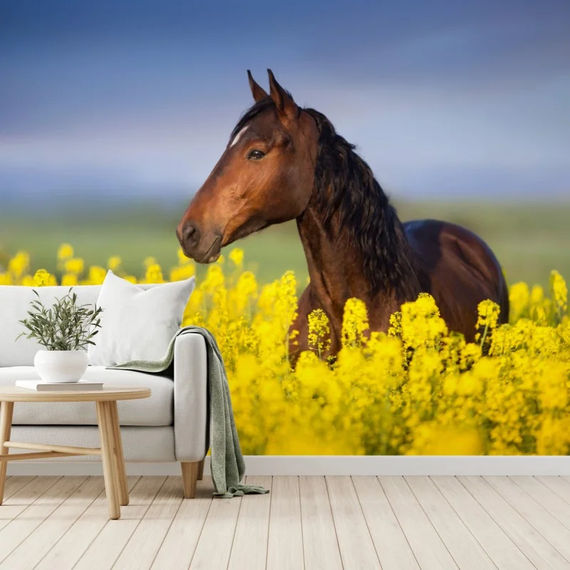 Carta da parati cavallo baio tra i fiori di colza