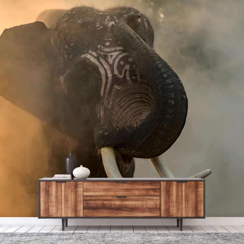 Carta da parati ritratto maestoso dell'elefante Plai Arm da Surin, Thailandia