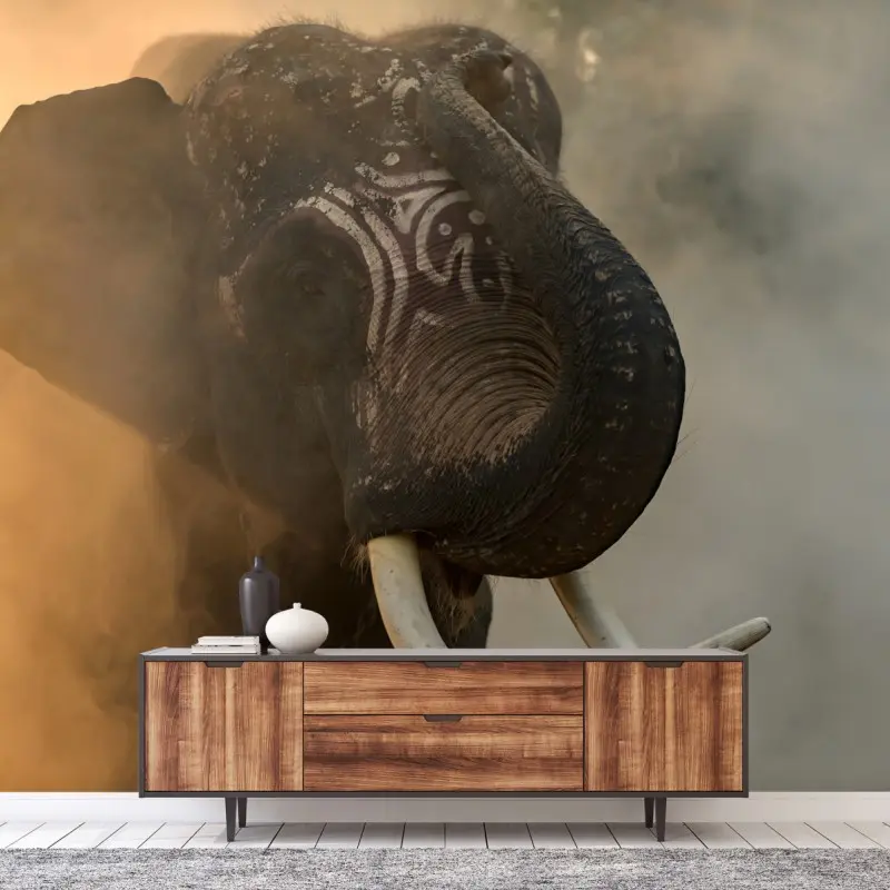 Carta da parati ritratto maestoso dell'elefante Plai Arm da Surin, Thailandia
