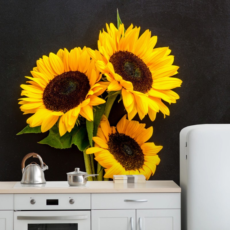 Carta da parati girasoli su sfondo scuro