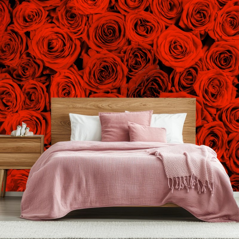 Carta da parati sinfonia di rose rosse