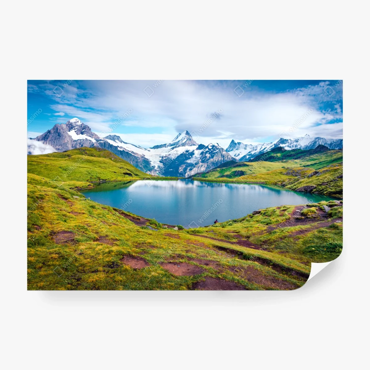 Carta da parati panorama del lago Bachalpsee e del Schreckhorn • Wallissimo®