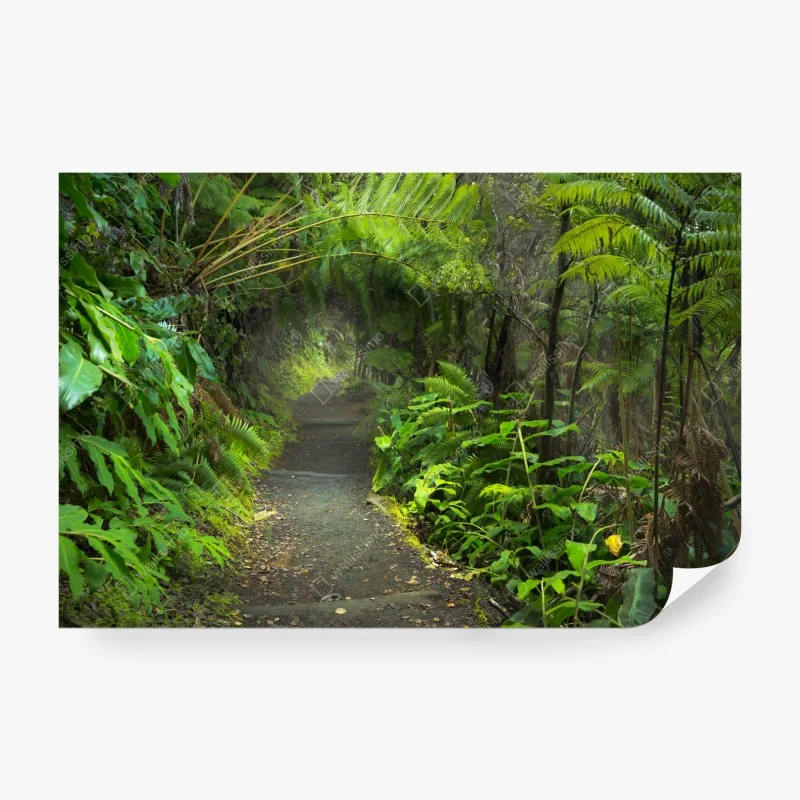 Carta da parati sentiero nella foresta pluviale di Kilauea Iki, Volcanoes National Park