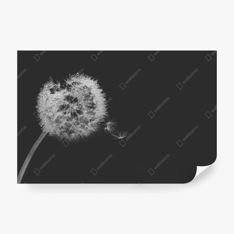 Carta da parati soffione sospeso in bianco e nero