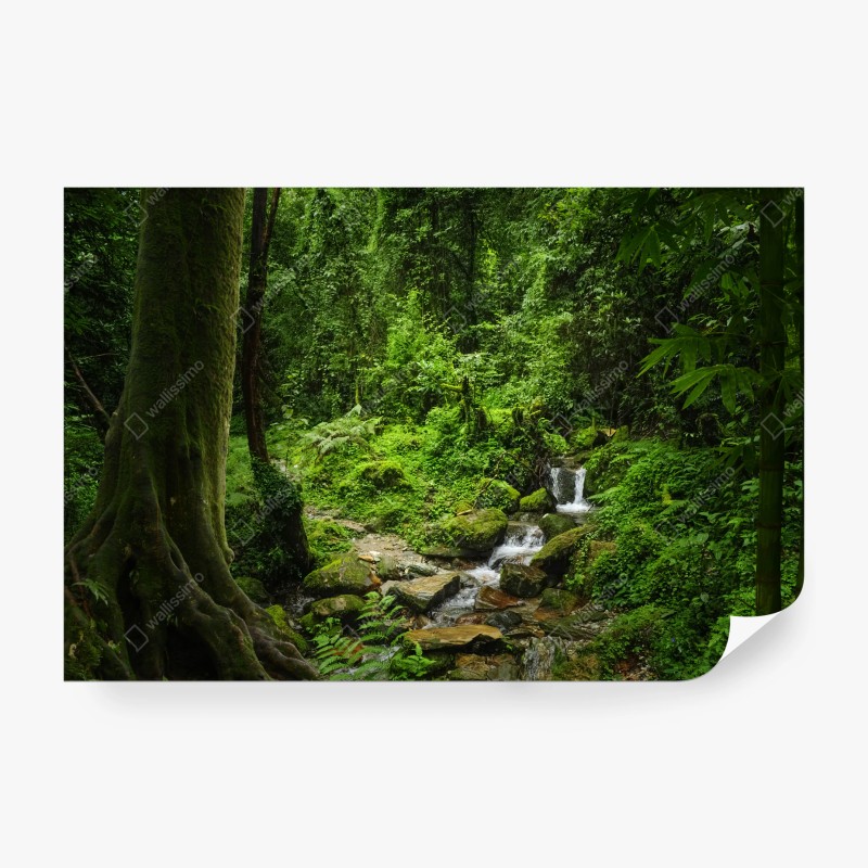 Carta da parati rifugio verde nella foresta pluviale