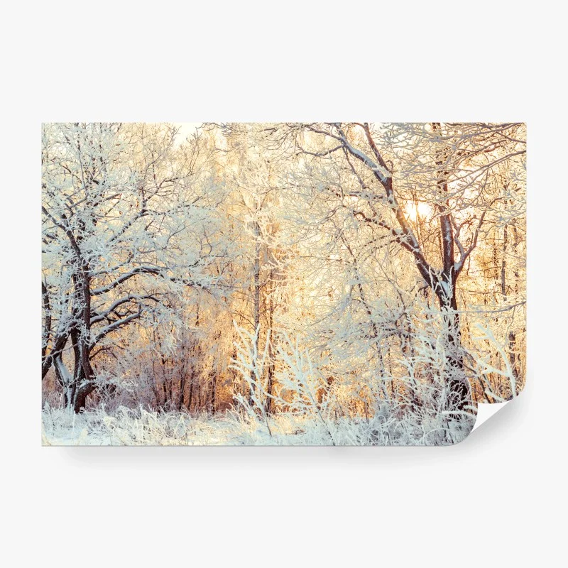 Carta da parati incanto invernale al tramonto