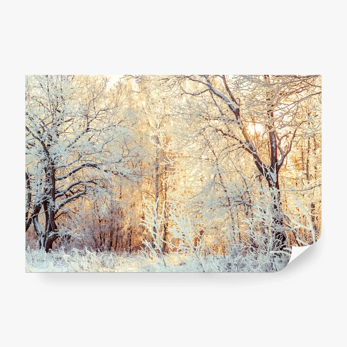 Carta da parati incanto invernale al tramonto • Wallissimo®