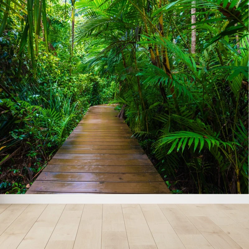 Carta da parati sentiero di legno nella foresta di mangrovie