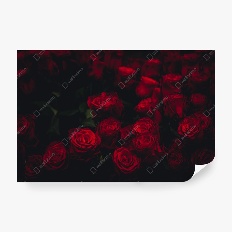 Carta da parati composizione di rose rosse su sfondo scuro