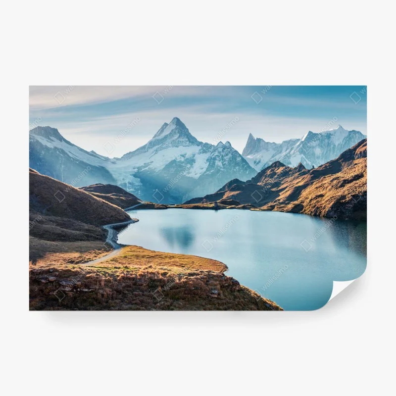 Carta da parati • Wallissimo®