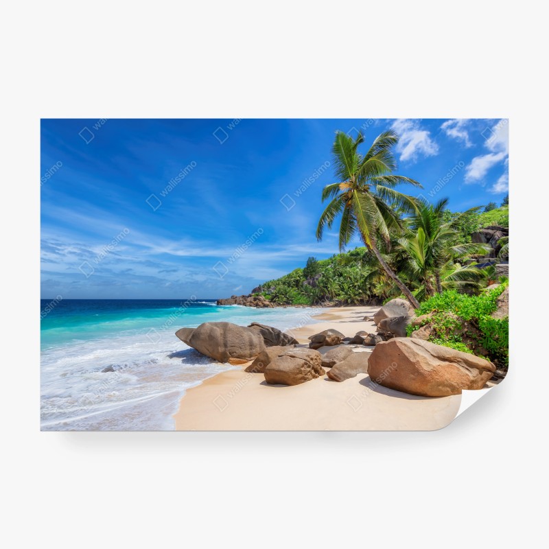 Carta da parati oasi tropicale con palme e rocce sulla spiaggia