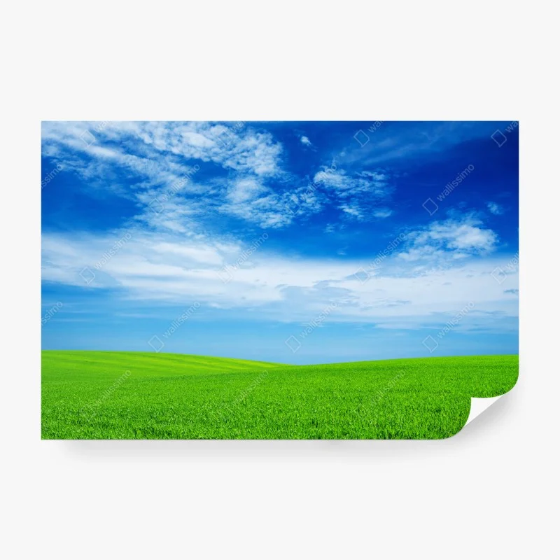 Carta da parati prato verde sotto il cielo azzurro