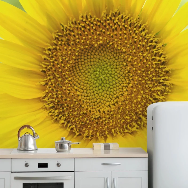 Carta da parati girasole luminoso su sfondo sfocato