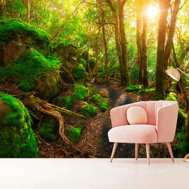 Carta da parati sentiero giurassico nella foresta pluviale della Tasmania