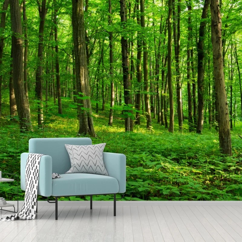 Carta da parati raggi di sole nella foresta primaverile