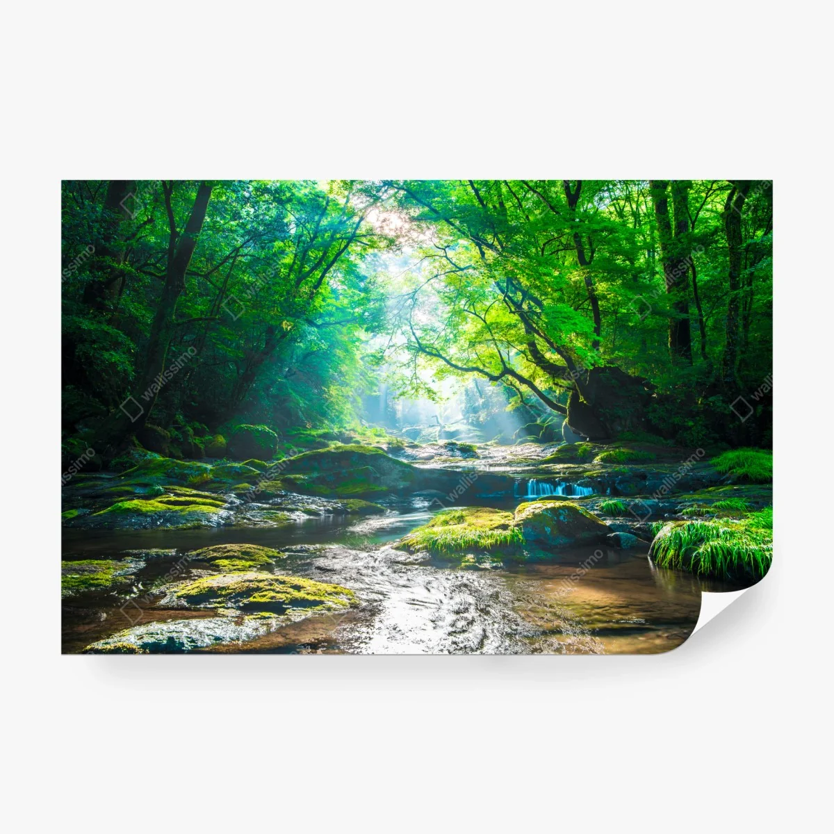 Carta da parati rifugio verde sul ruscello • Wallissimo®