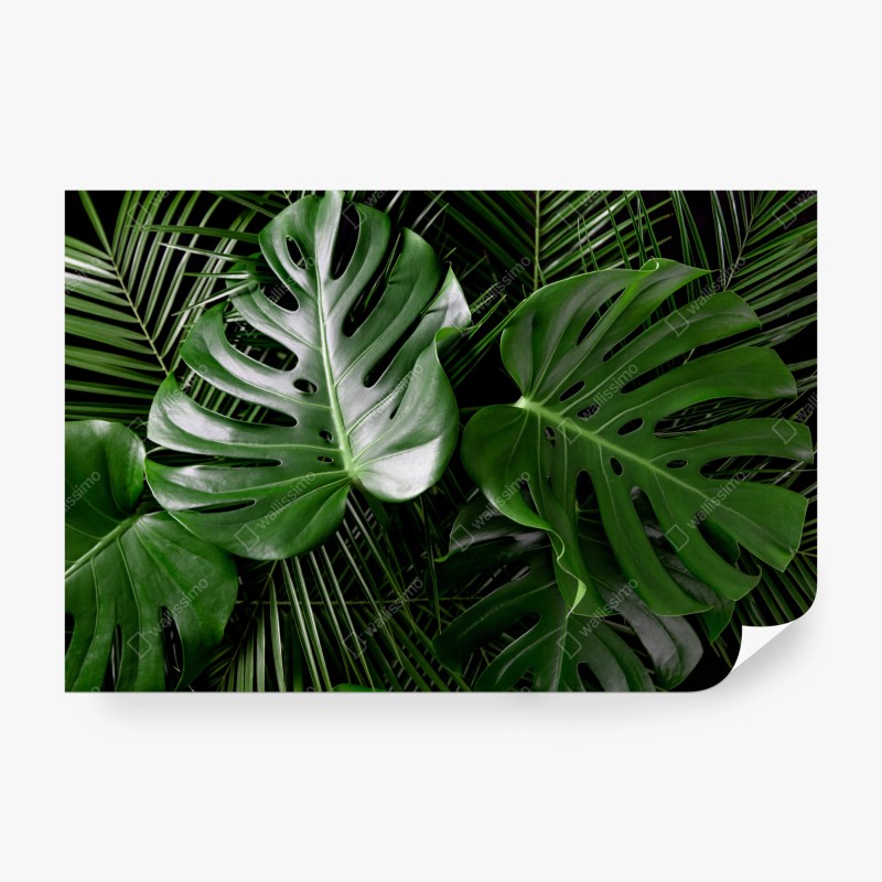 Carta da parati composizione di foglie di monstera e palma