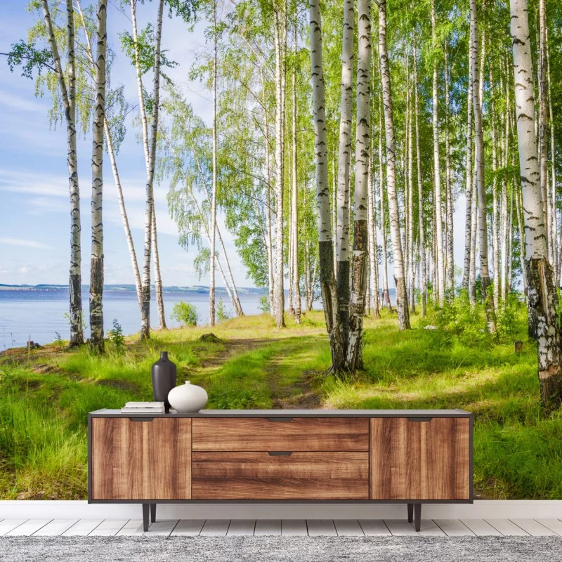 Carta da parati bosco di betulle in riva al fiume