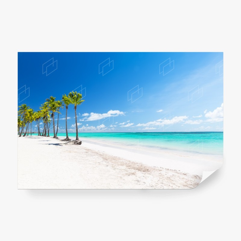 Carta da parati spiaggia tropicale a Punta Cana