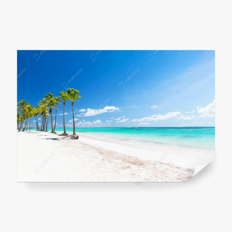 Carta da parati spiaggia tropicale a Punta Cana