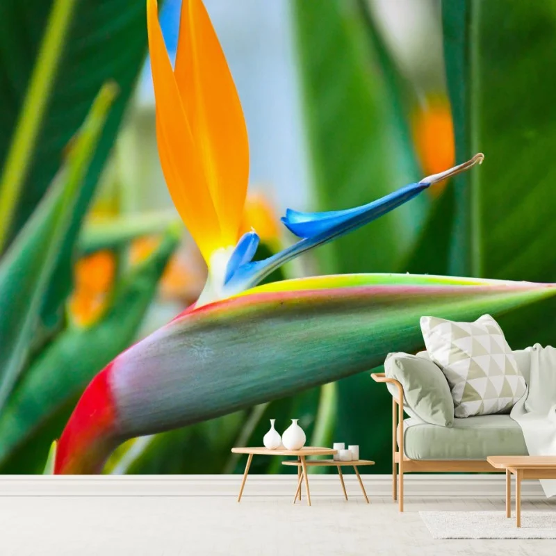 Carta da parati strelitzia esotica dai colori vivaci su sfondo verde • Wallissimo® Carta da parati strelitzia esotica dai colori vivaci su sfondo verde • Wallissimo®